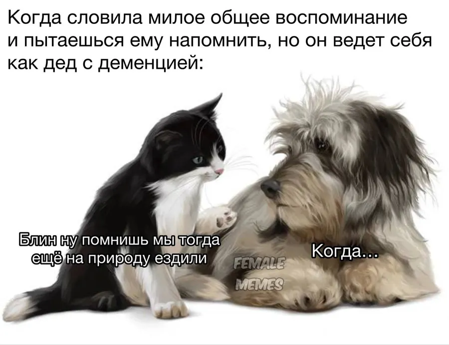Untitled meme