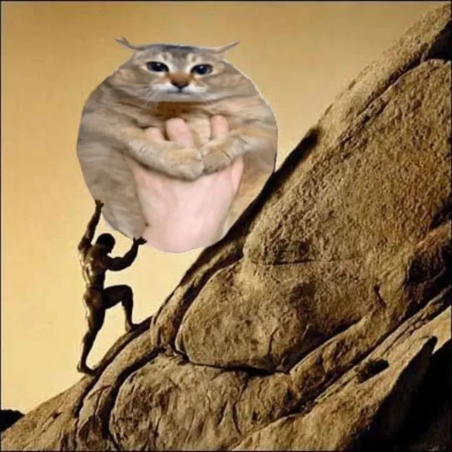 Untitled meme