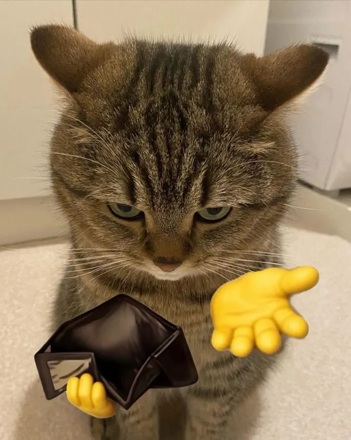 Untitled meme