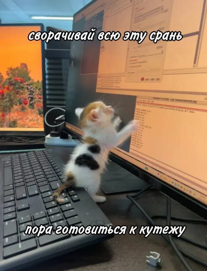 Untitled meme