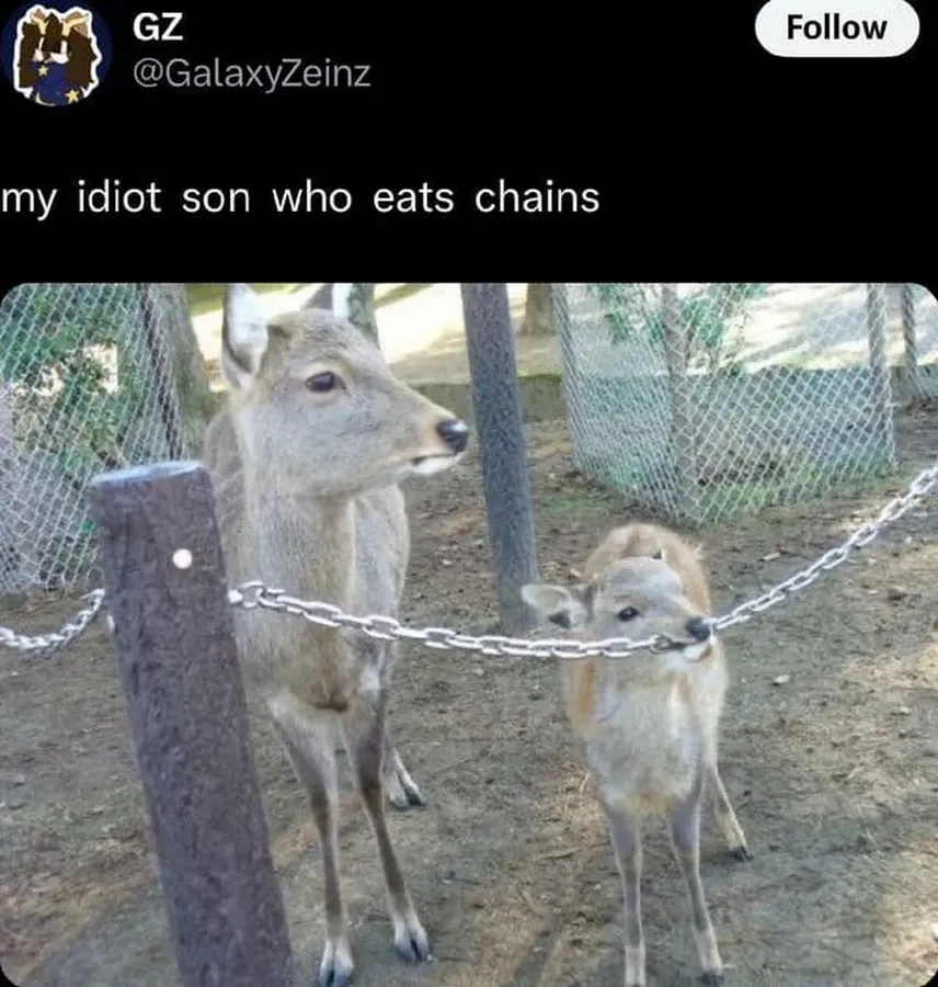 Untitled meme