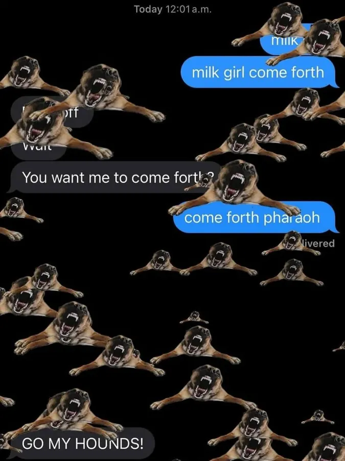 Untitled meme