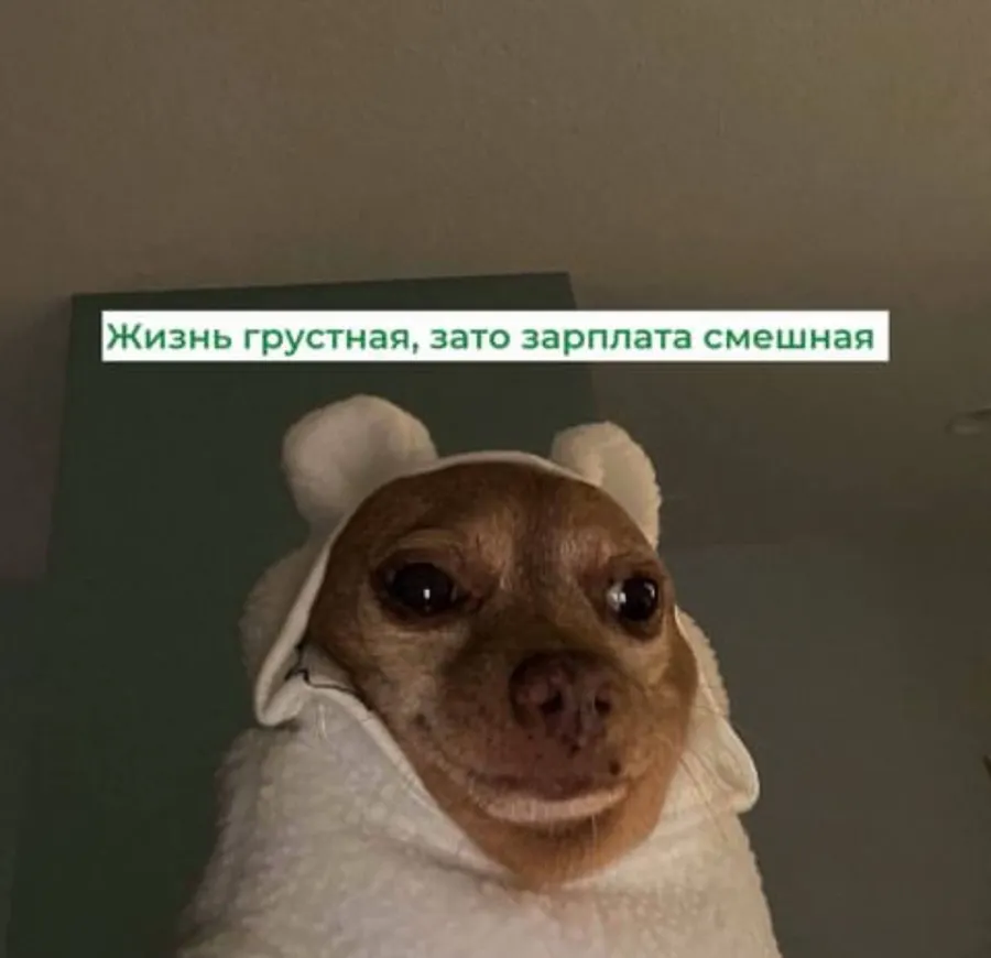 Untitled meme