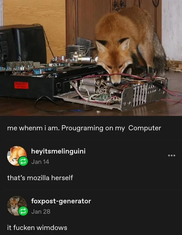 Untitled meme
