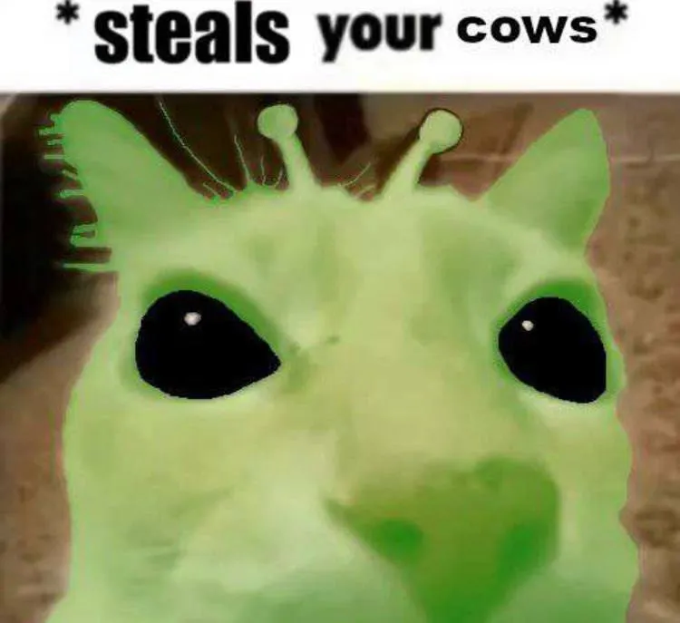 Untitled meme