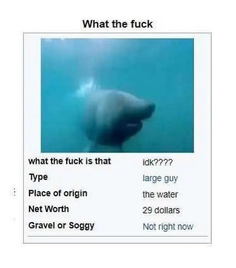 Untitled meme