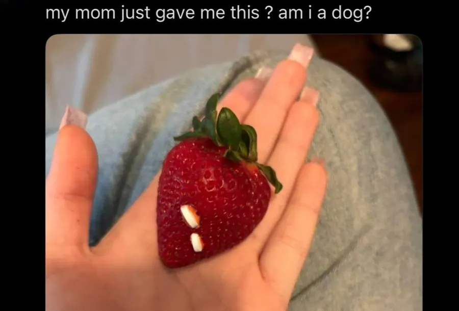 Untitled meme