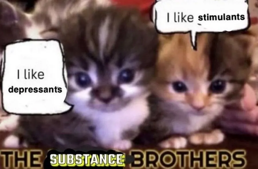 Untitled meme