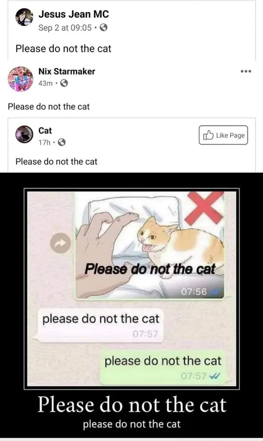 Untitled meme