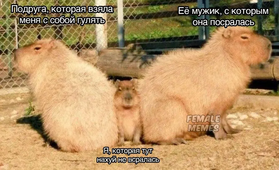 Untitled meme
