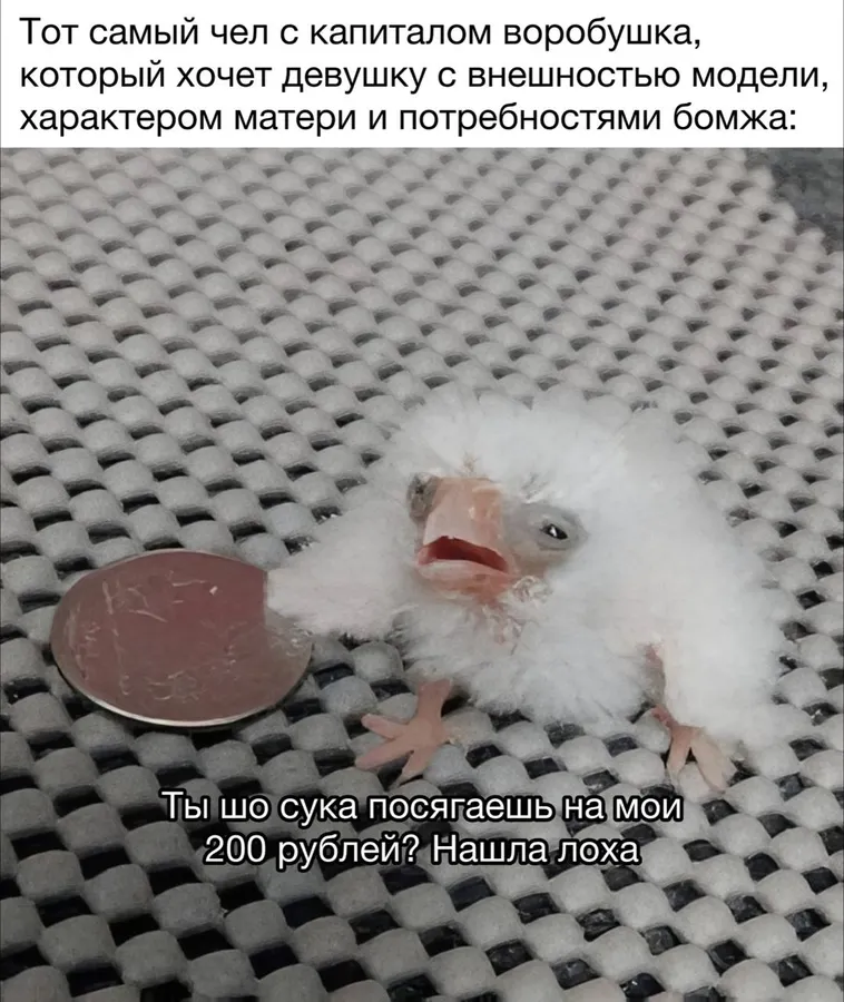 Untitled meme