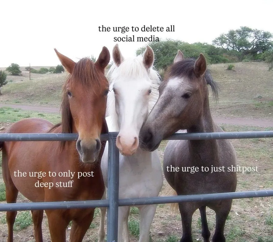 Untitled meme
