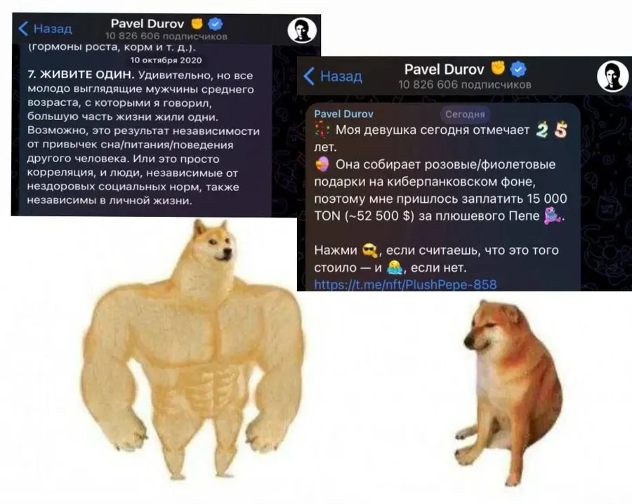 Untitled meme