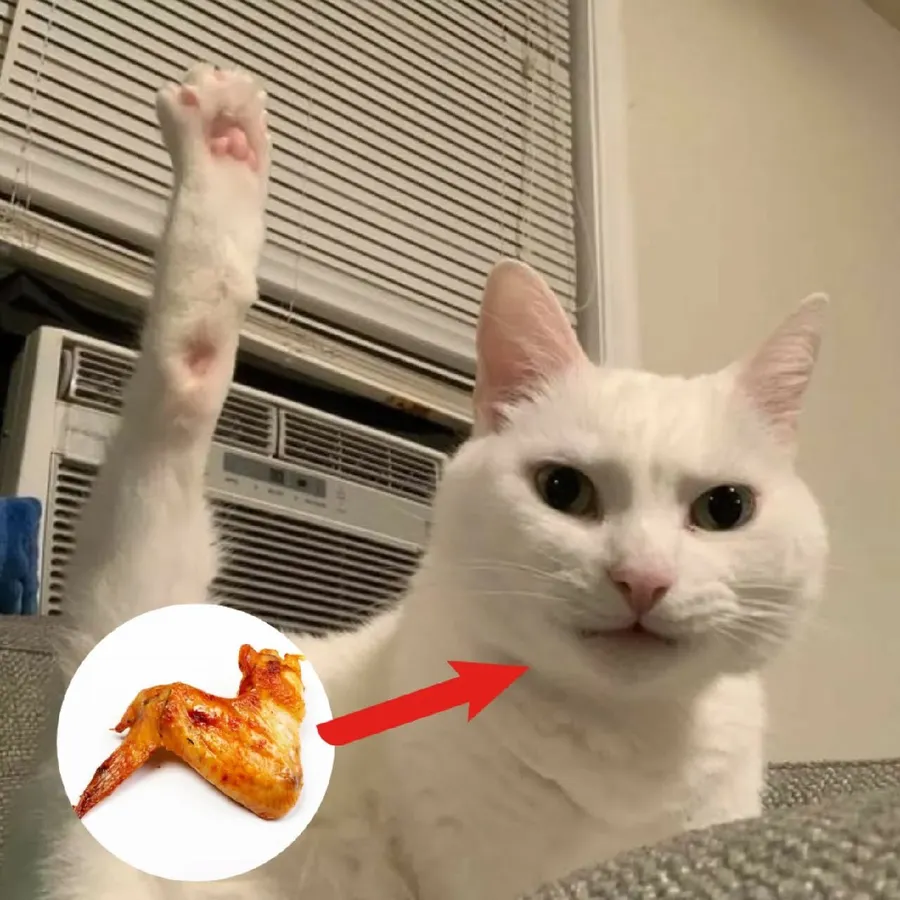 Untitled meme