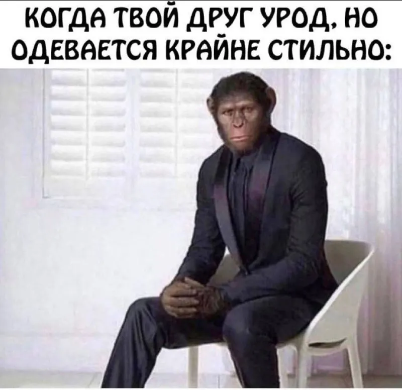 Untitled meme