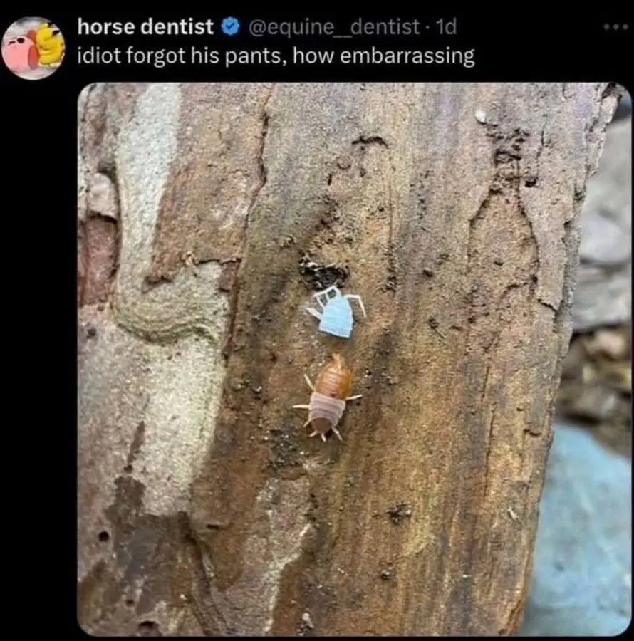 Untitled meme