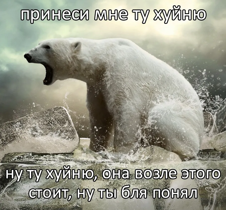 Untitled meme