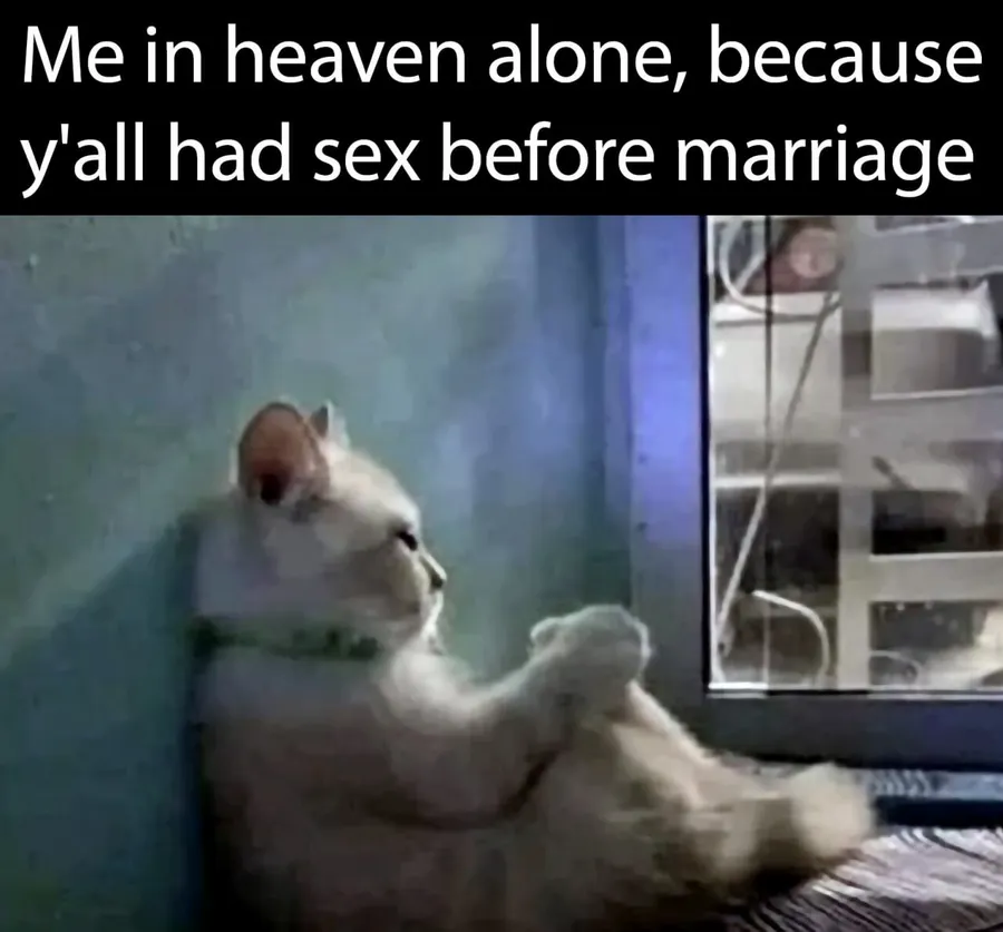 Untitled meme