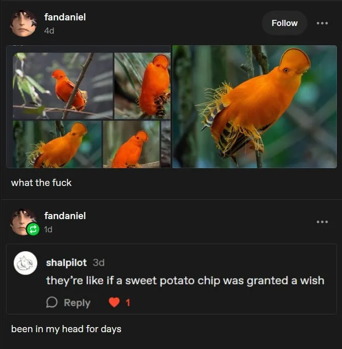 Untitled meme