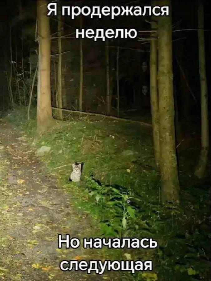 Untitled meme