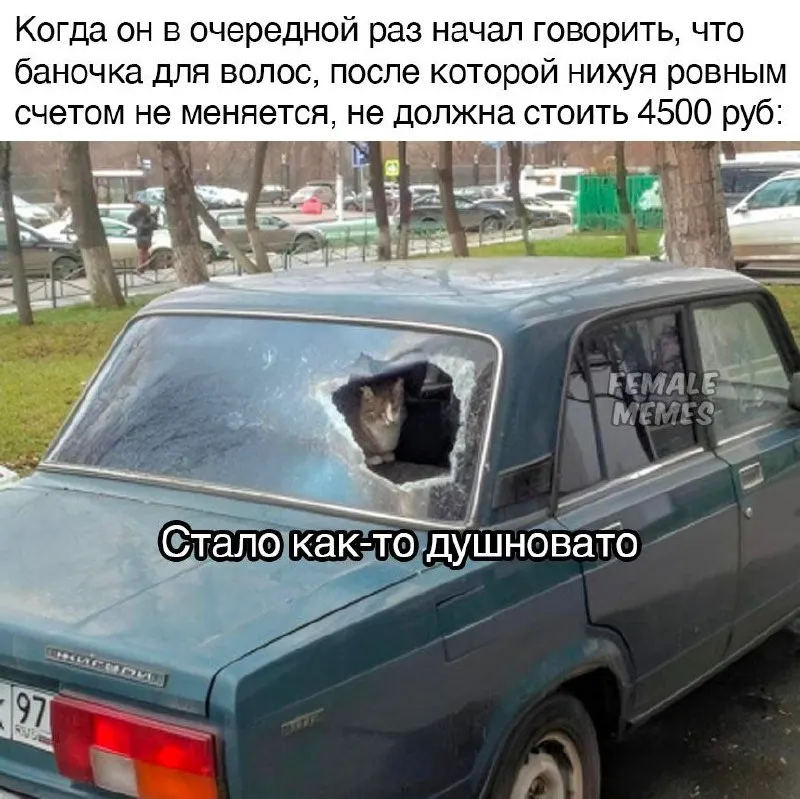 Untitled meme