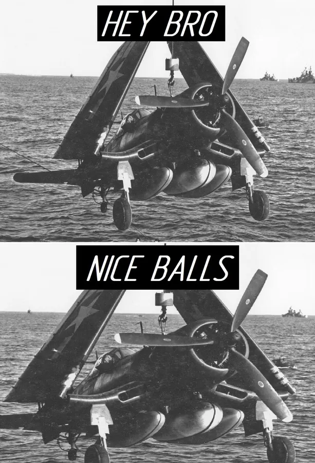 Untitled meme
