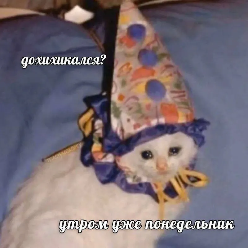 Untitled meme