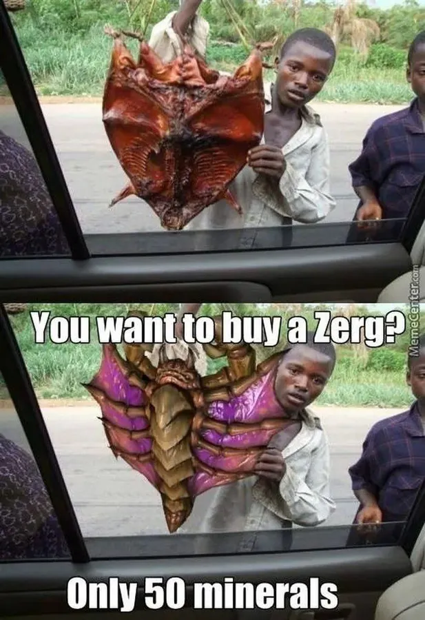 Untitled meme