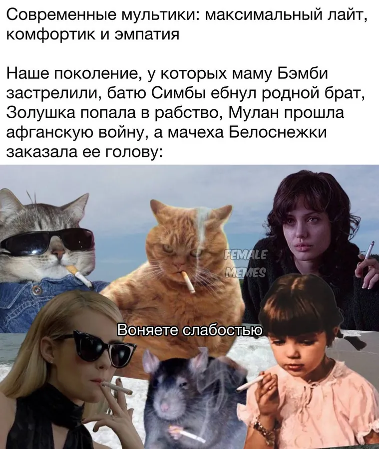 Untitled meme