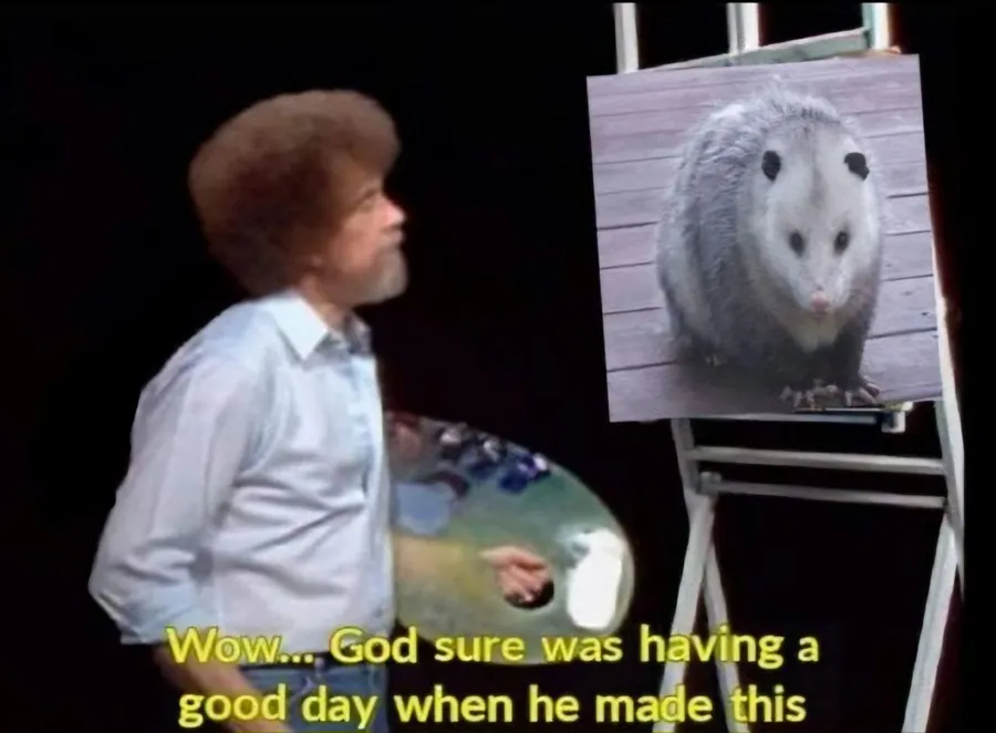 Untitled meme