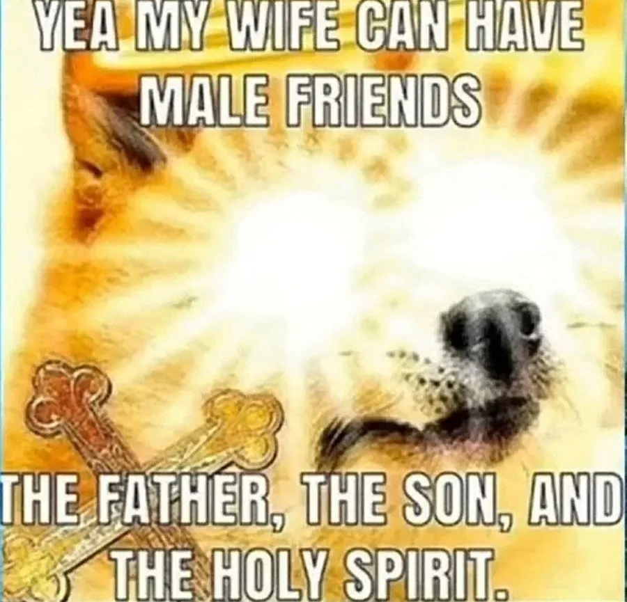 Untitled meme