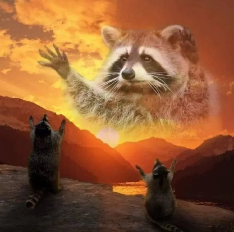 Untitled meme