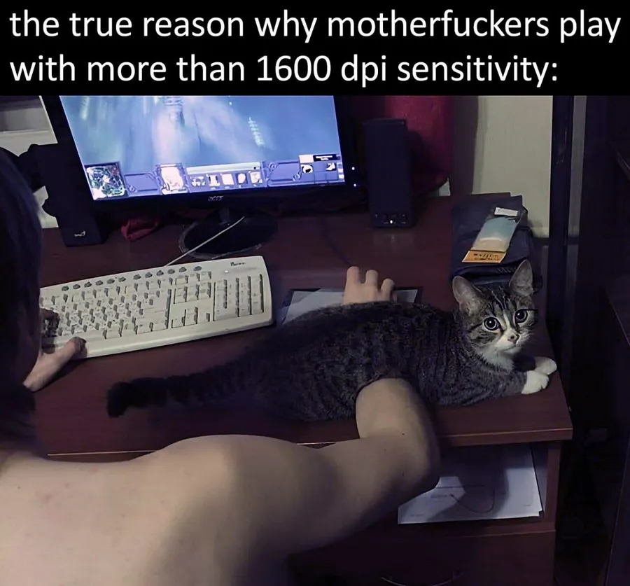 Untitled meme