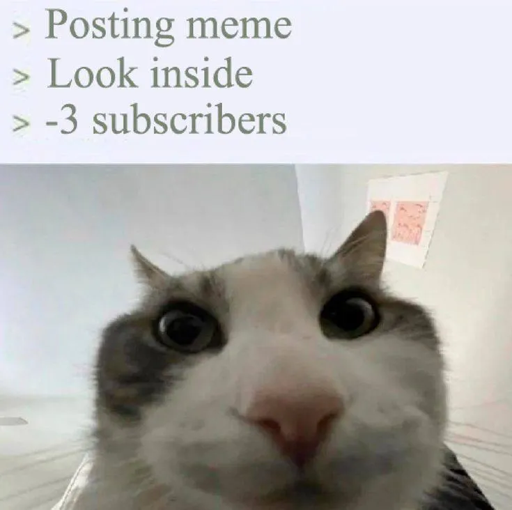 Untitled meme