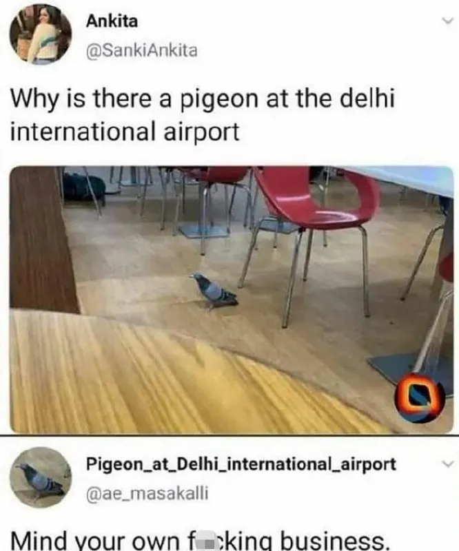 Untitled meme