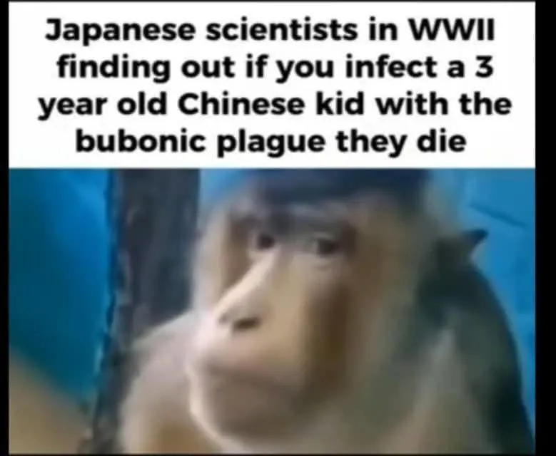 Untitled meme