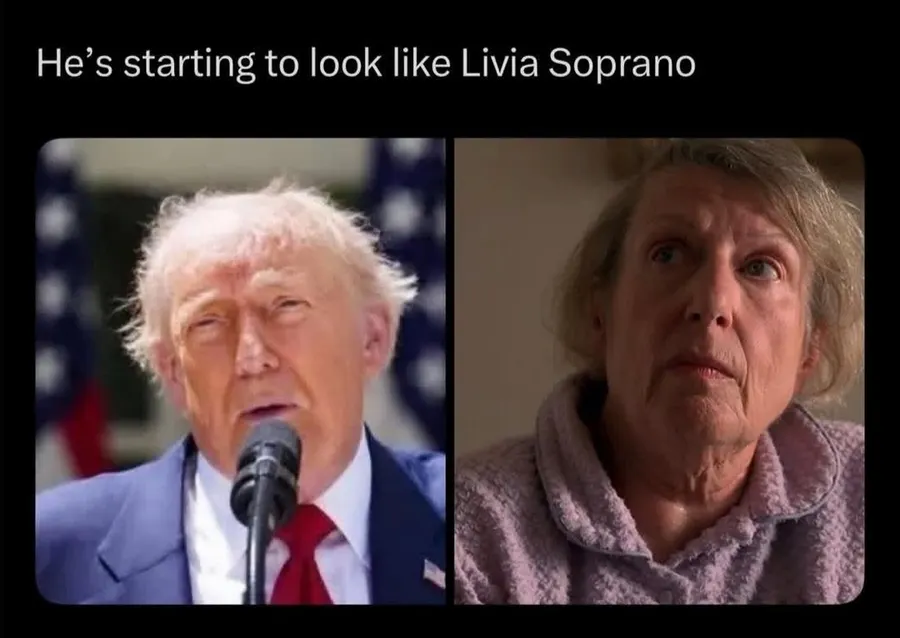 Untitled meme