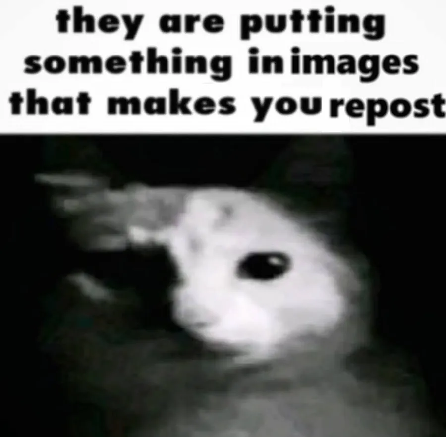 Untitled meme