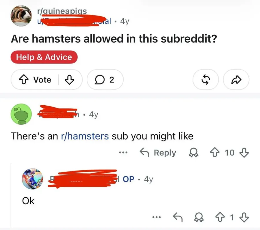 Untitled meme