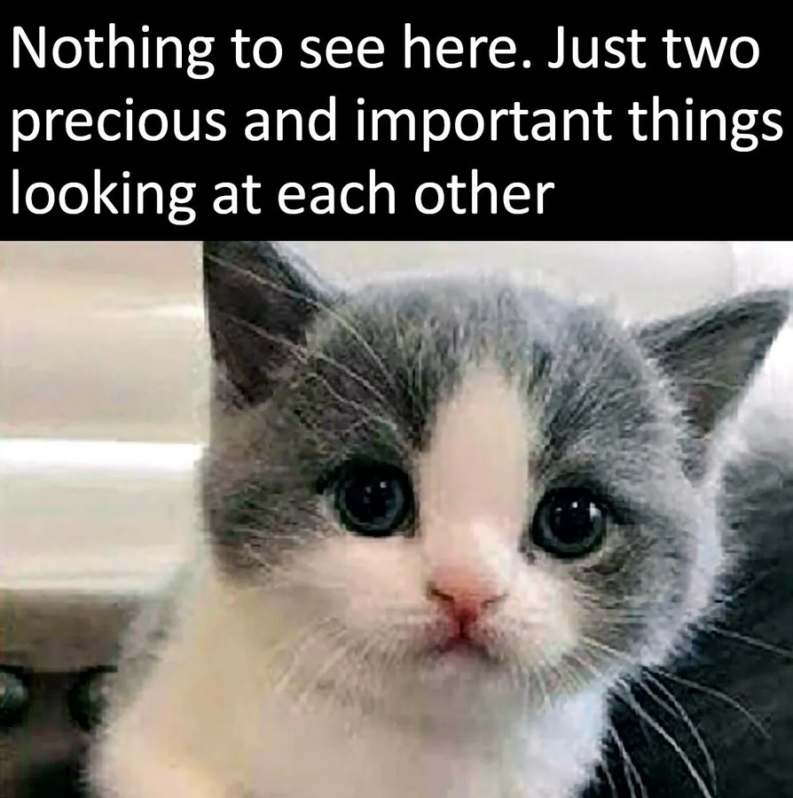 Untitled meme