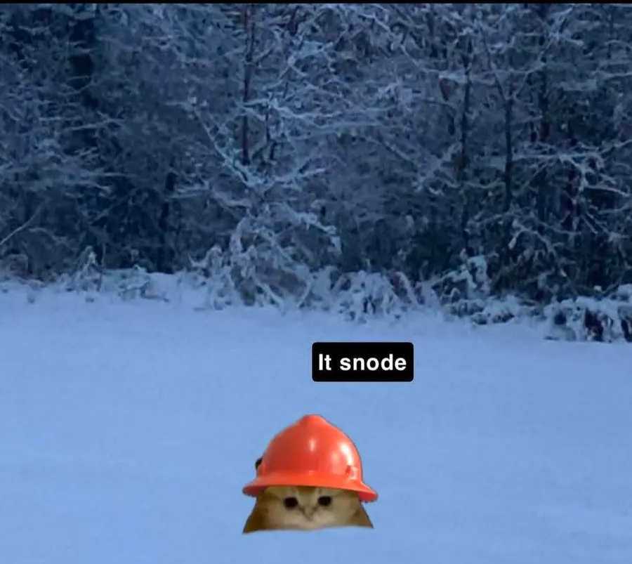 Untitled meme