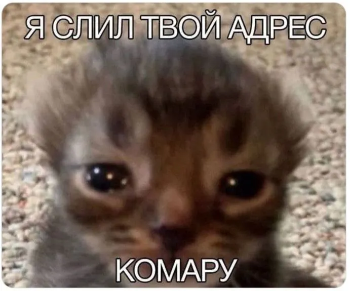 Untitled meme