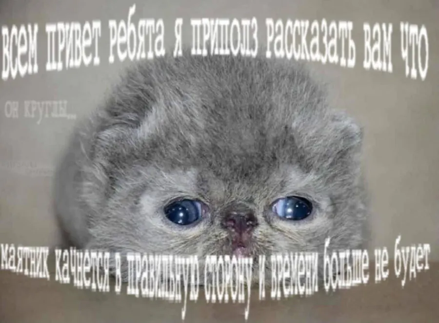 Untitled meme