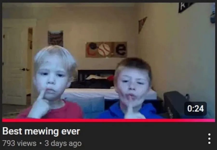 Untitled meme