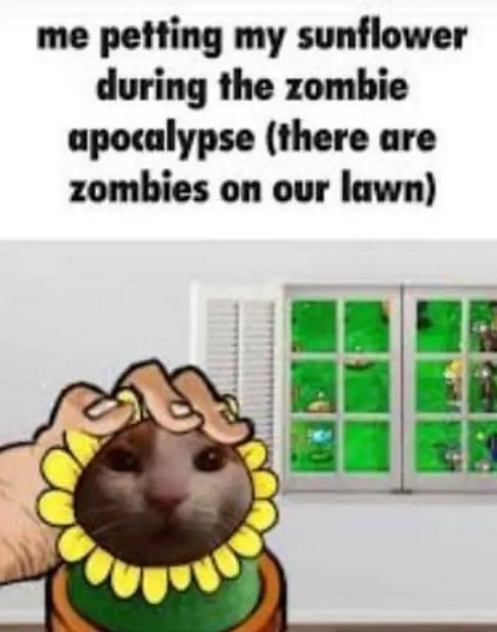 Untitled meme