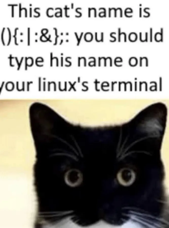 Untitled meme
