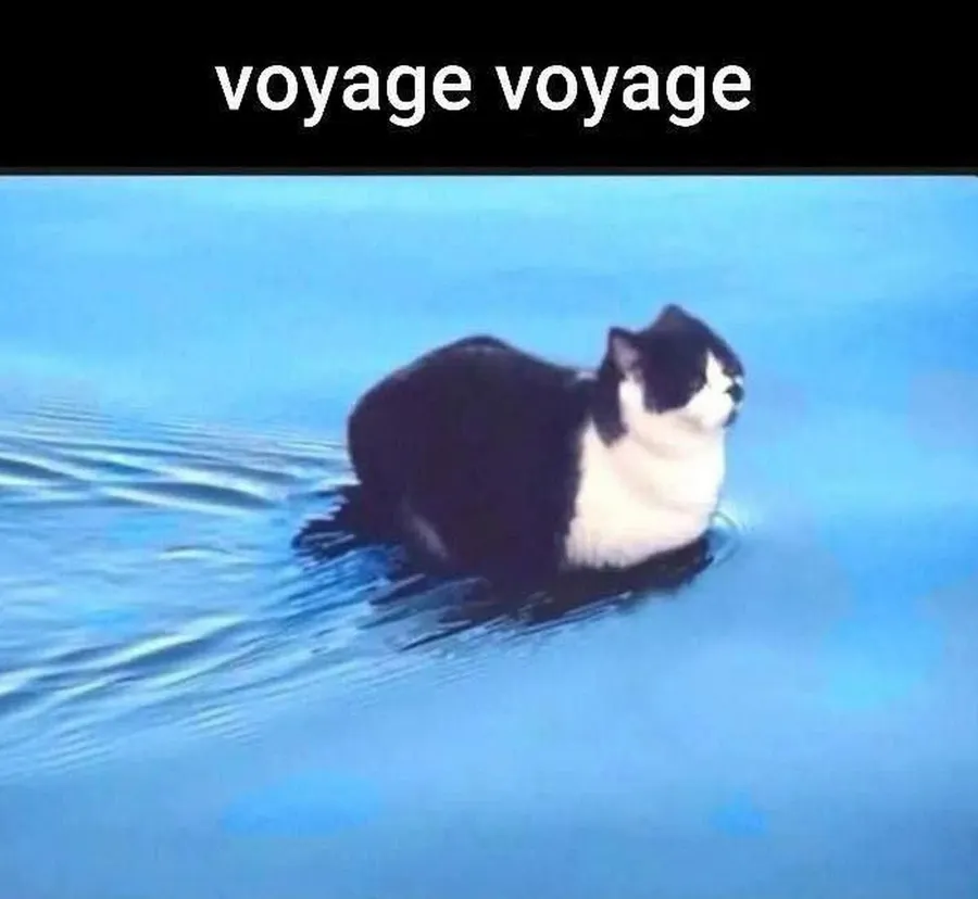 Untitled meme