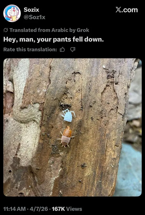Untitled meme