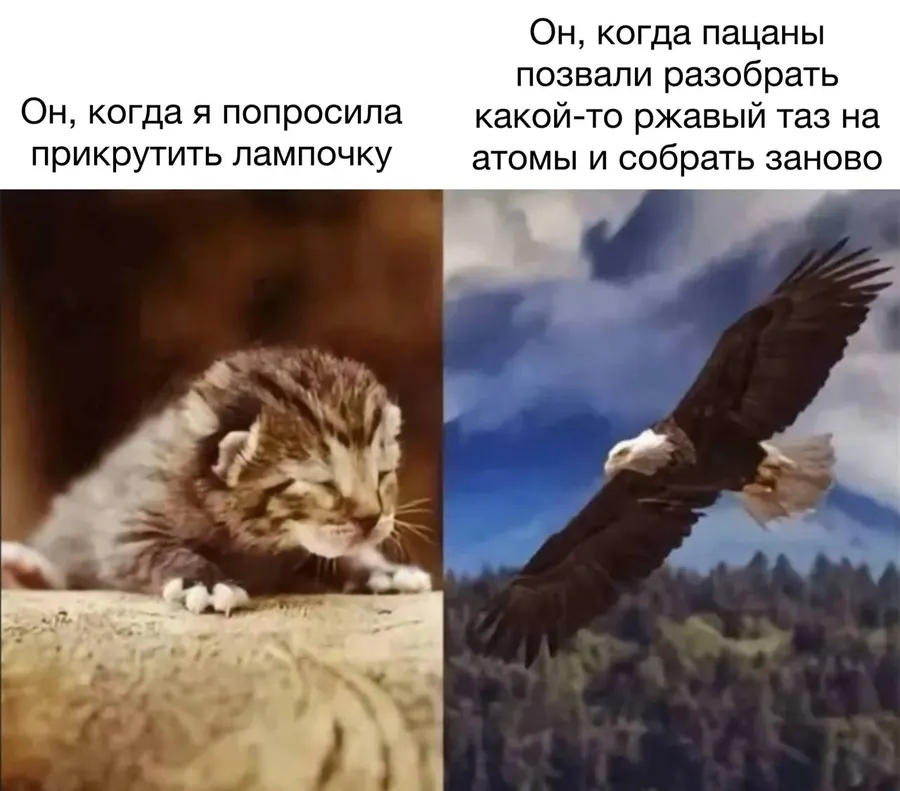 Untitled meme