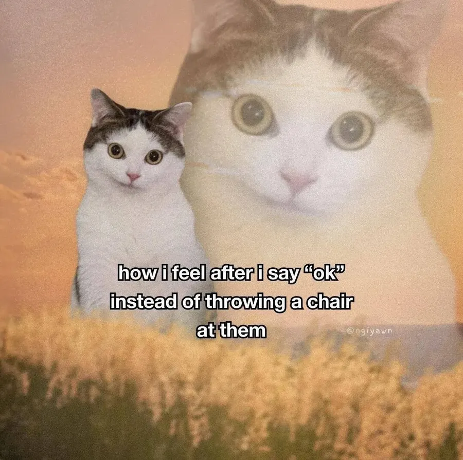Untitled meme